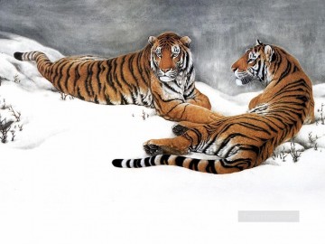tigers on snow field Oil Paintings